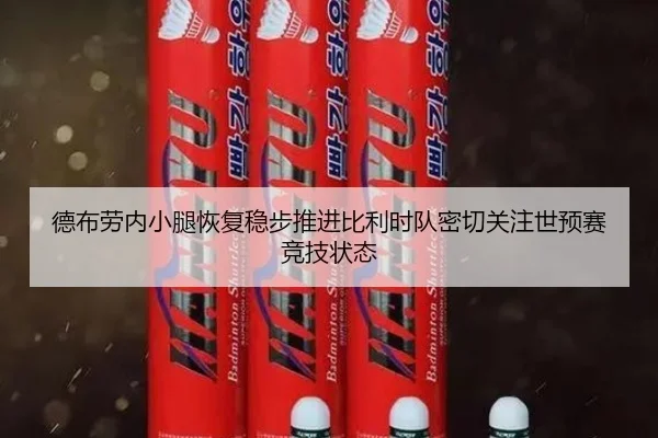 德布劳内小腿恢复稳步推进比利时队密切关注世预赛竞技状态