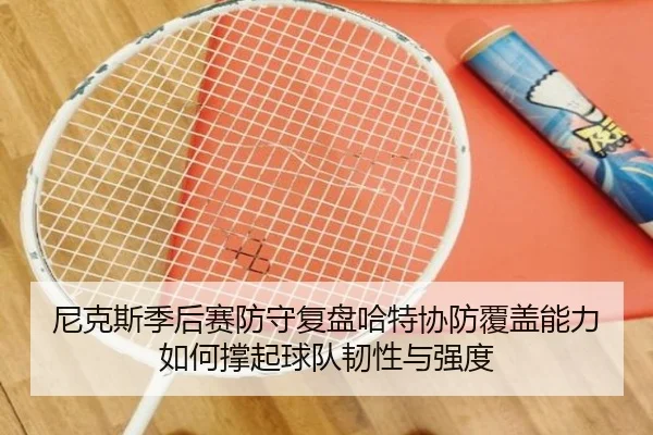 尼克斯季后赛防守复盘哈特协防覆盖能力如何撑起球队韧性与强度